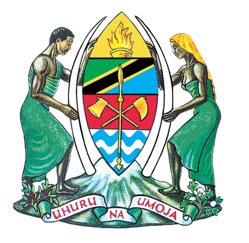 wizara ya afya